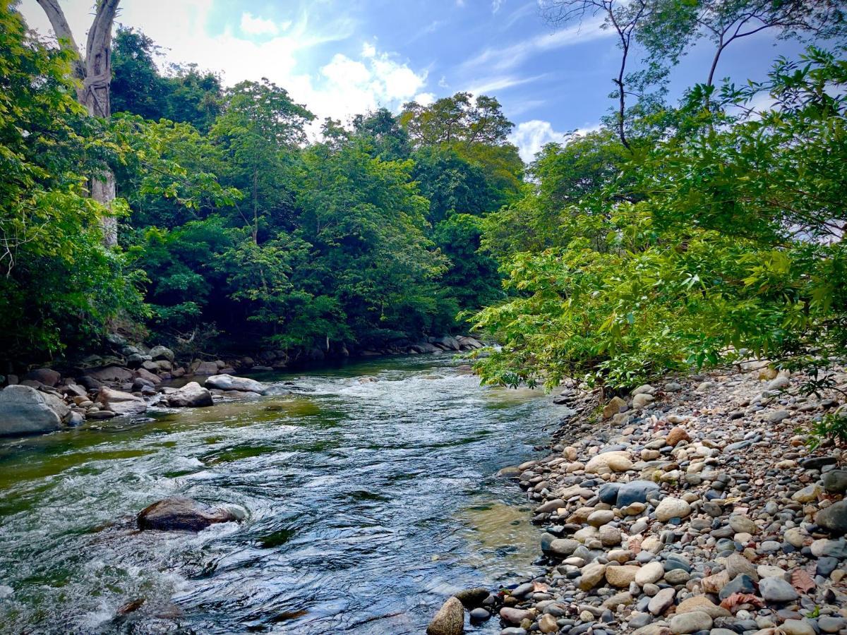 Tayrona Suites エル・ザイノ エクステリア 写真